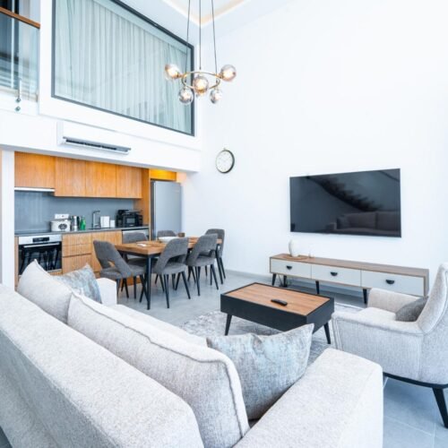 Mykonos homes 3+1 Loft | Infinity pool